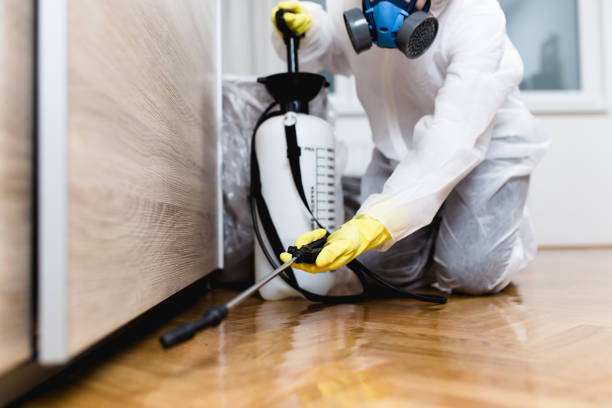 Best Best Pest Control Companies  in Derby, CO