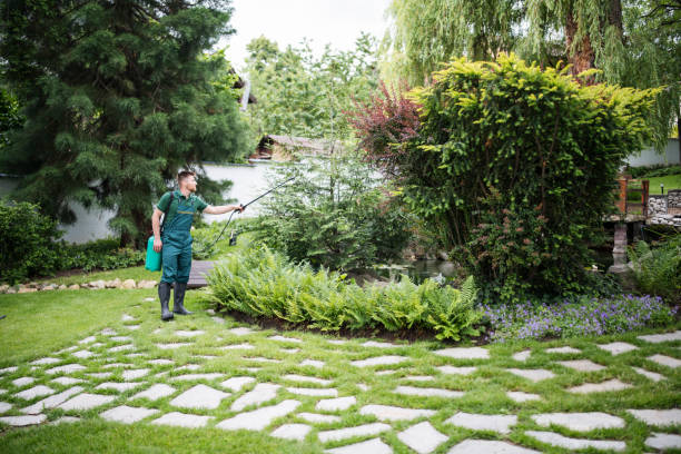 Best Pest Inspection Near Me  in Derby, CO