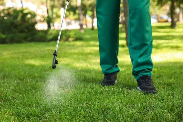 Best Wasp Removal Services  in Derby, CO