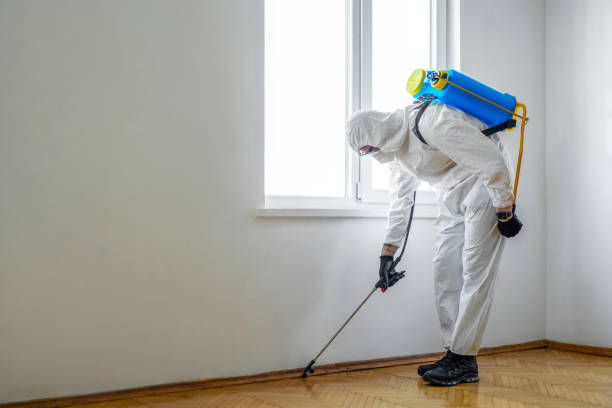 Derby, CO Pest Control Company