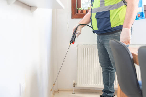 Best Termite Control Services  in Derby, CO