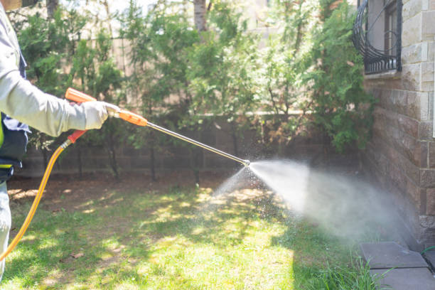 Best Flea Control Services  in Derby, CO