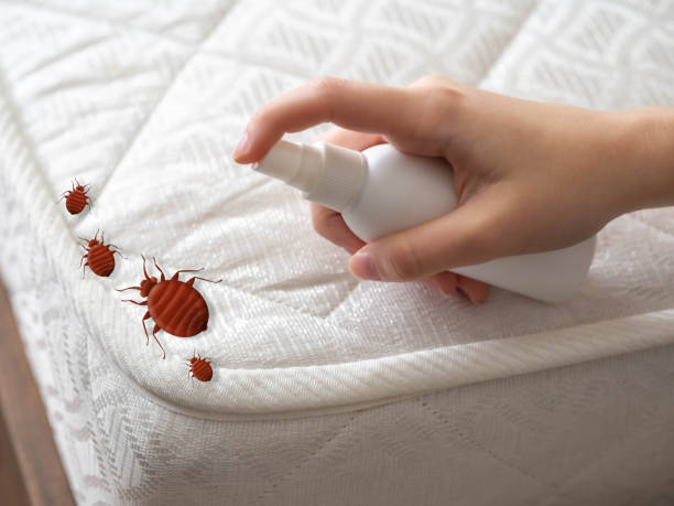 Best Best Pest Control Companies  in Derby, CO