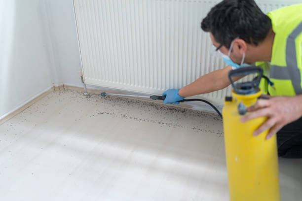Best Ant Control Services  in Derby, CO