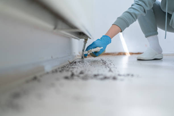 Pest Control Cost in Derby, CO