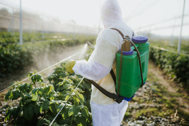 Best Wildlife Control Services  in Derby, CO